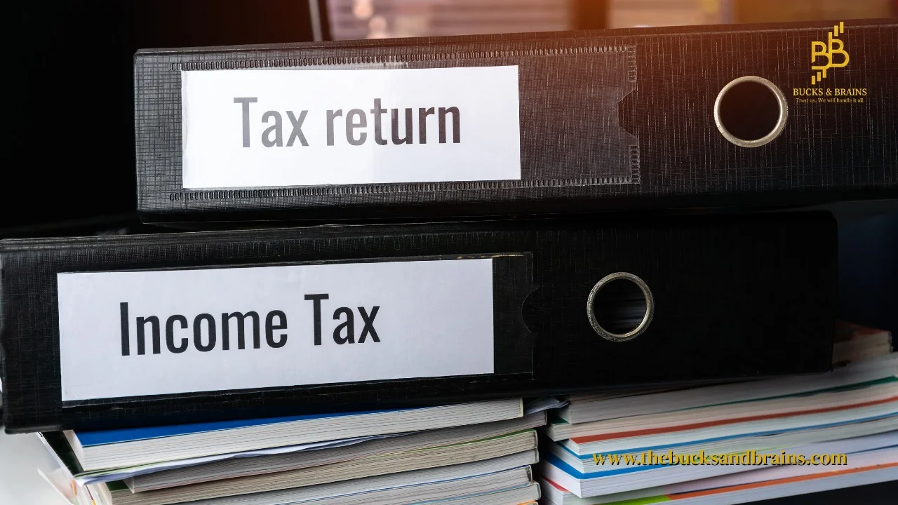 Income Tax Notice Assistance